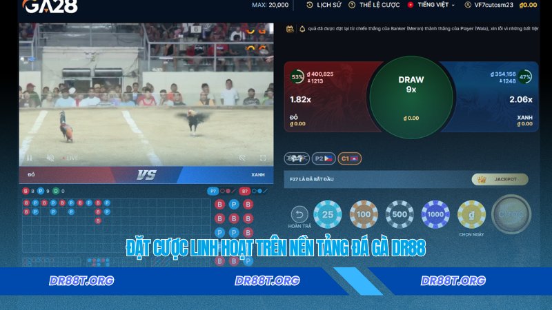Đặt cược linh hoạt trên nền tảng đá gà Dr88