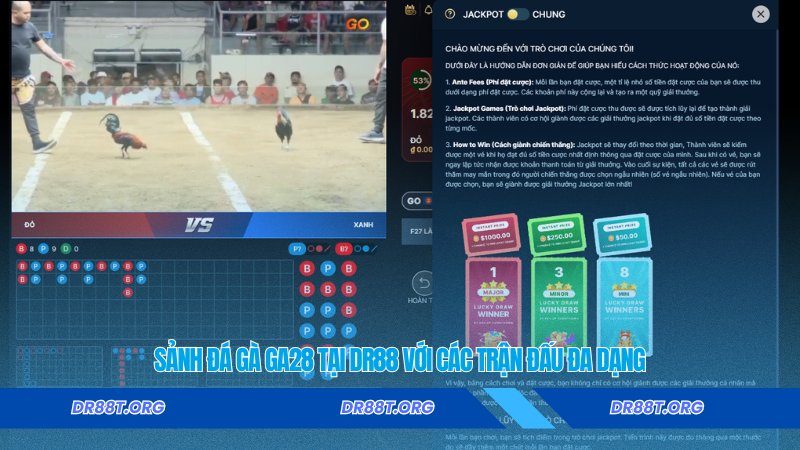 Sảnh đá gà GA28 tại Dr88 với các trận đấu đa dạng