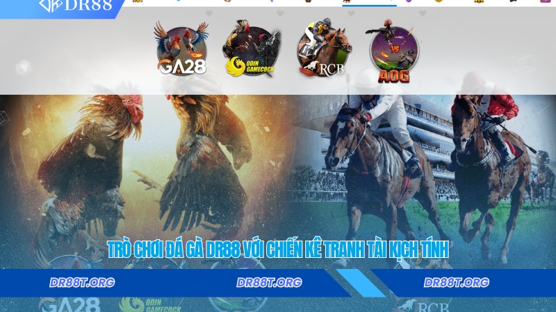 Trò chơi đá gà Dr88 với chiến kê tranh tài kịch tính